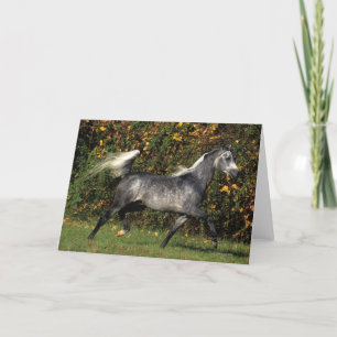 Arabs Running: Autumn Card