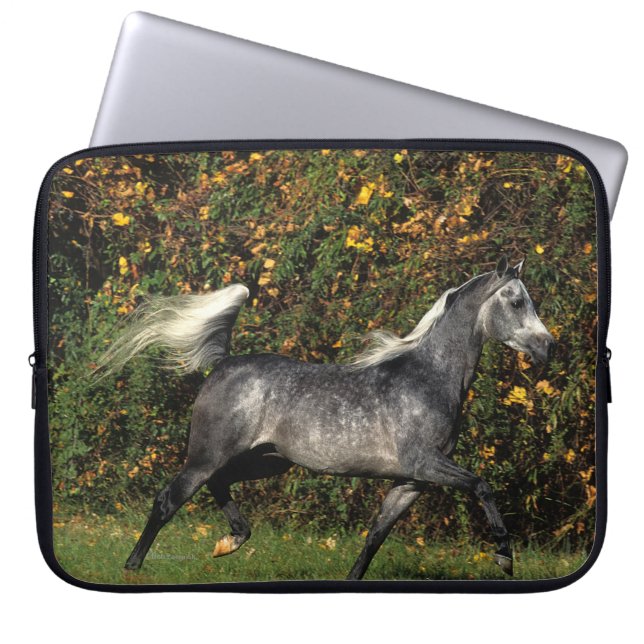 Arabs Running: Autumn Laptop Sleeve (Front)