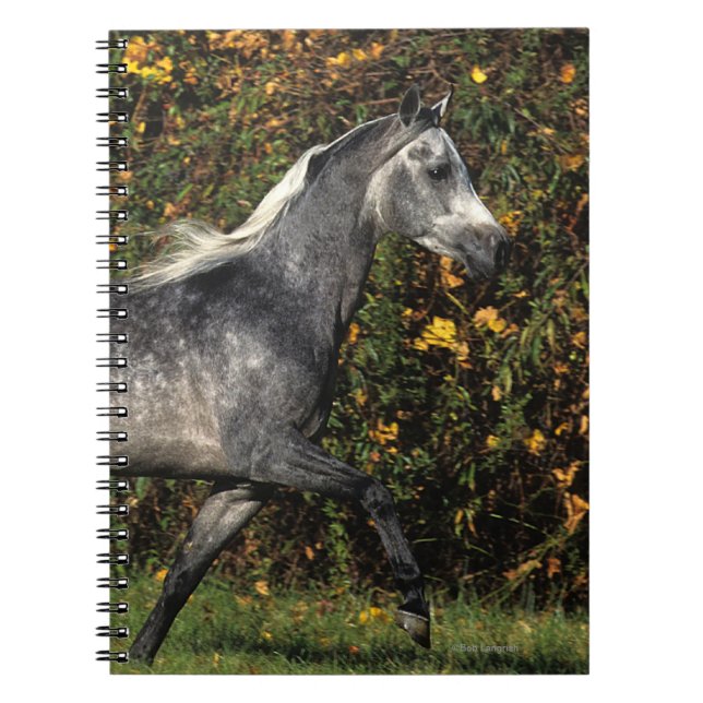 Arabs Running: Autumn Notebook (Front)