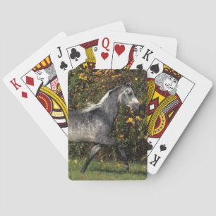 Arabs Running: Autumn Playing Cards