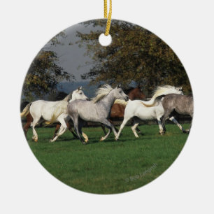 Arabs Running in Field Ceramic Tree Decoration