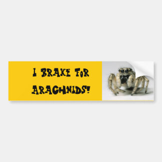 Arachnid Bumper Sticker