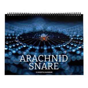 Arachnid Snare Calendar