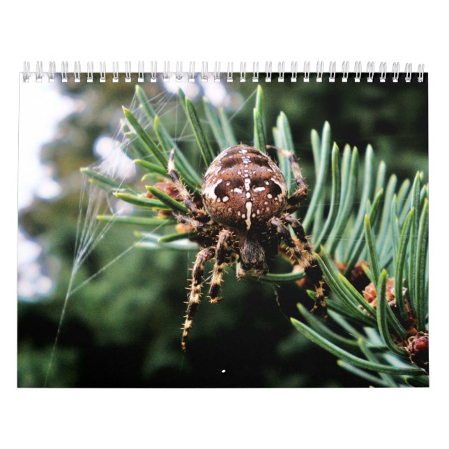 Arachnida Calendar (Cover)