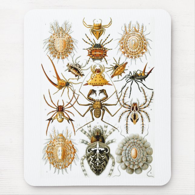 Arachnida (Spiders), Ernst Haeckel Fine Art Mouse Pad (Front)