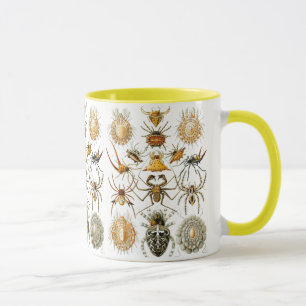 Arachnida (Spiders) Ernst Haeckel Fine Art Mug