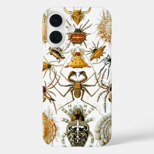 Arachnids by Haeckel vintage spider illustration  iPhone 16 Case