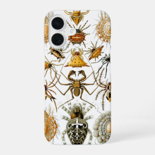 Arachnids by Haeckel vintage spider illustration iPhone 16 Case
