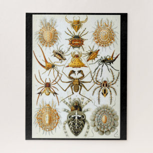 Arachnids by Haeckel vintage spider illustration  Jigsaw Puzzle
