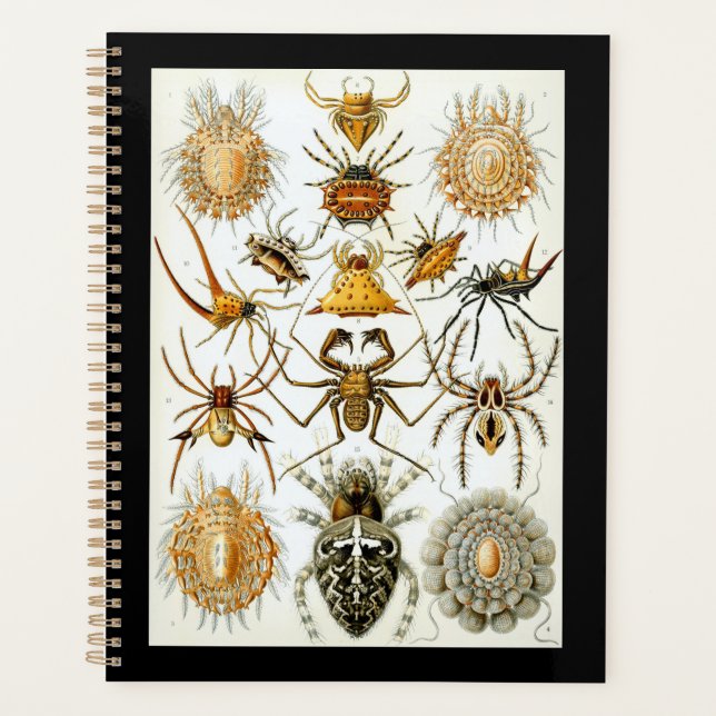 Arachnids by Haeckel vintage spider illustration  Planner (Front)