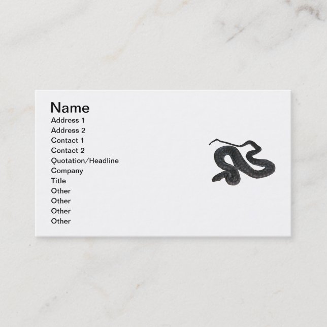 Arafura File Snake Business Card (Front)