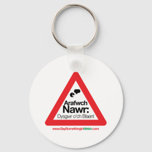 ARAFWCH KEY RING