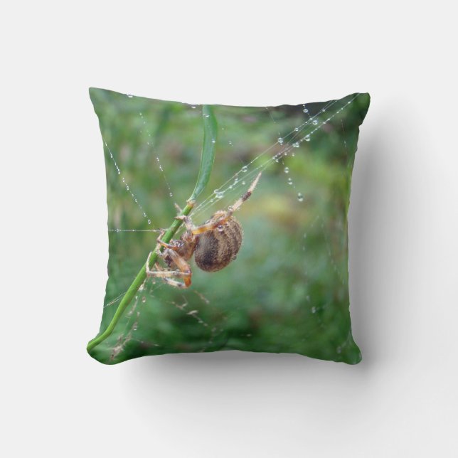 Araneus - Orb Weaver Spider Cushion (Front)