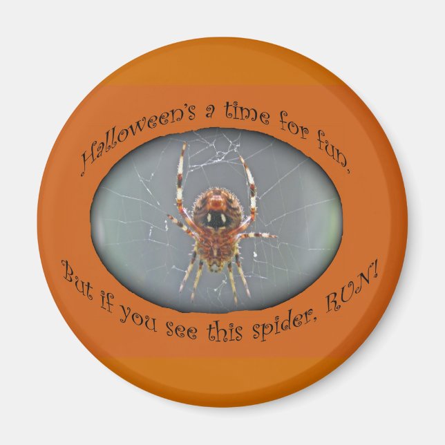 Araneus Orb Weaver Spider Halloween Magnet (Front)
