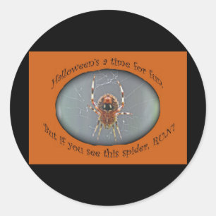 Araneus Orb Weaver Spider Halloween Sticker