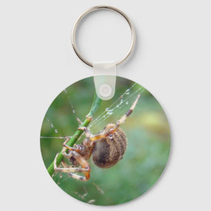 Araneus - Orb Weaver Spider Key Ring