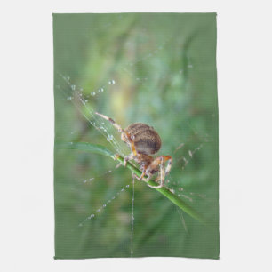 Araneus - Orb Weaver Spider Tea Towel