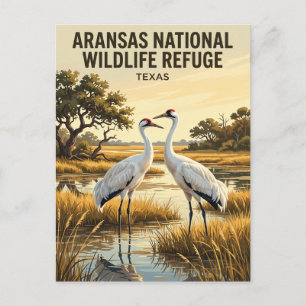Aransas National Wildlife Refuge USA Postcard