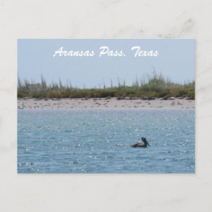 Aransas Pass Texas Coast Postcad with Pelican Postcard
