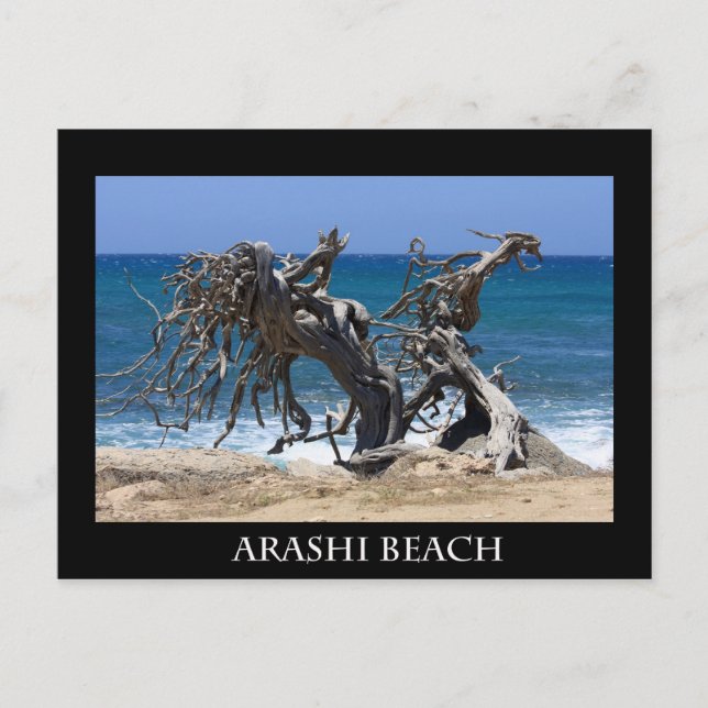 arashi beach 2 postcard (Front)