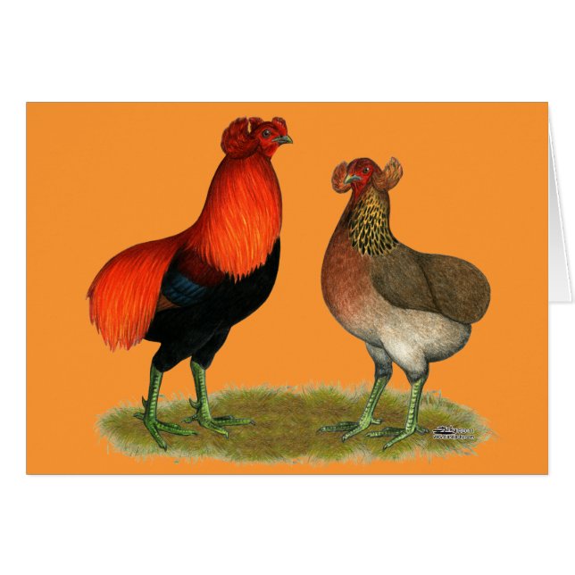 Araucana Red Pair (Front Horizontal)