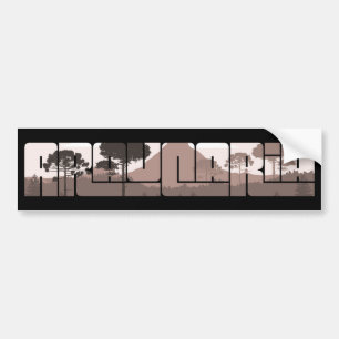 Araucaria Pine Tree Araucaria Parana Wilderness Bumper Sticker