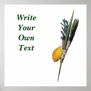 Arba Minim (4 Species) Poster