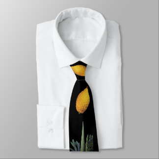 Arba Minim (Four Species) Tie