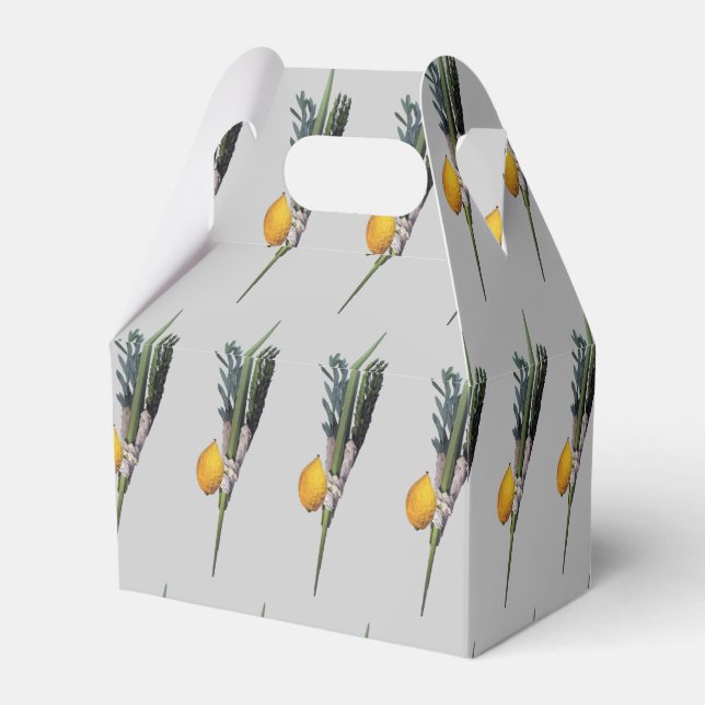 Arba Minim - Lulav, Esrog, Hadas, & Aravah Favour Box (Back Side)