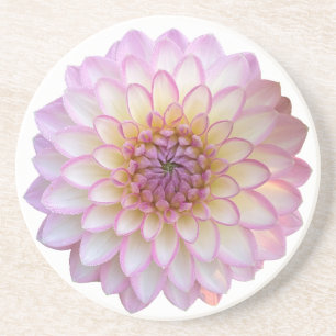 Arbatax Dahlia, Pink Flower Sandstone Coaster