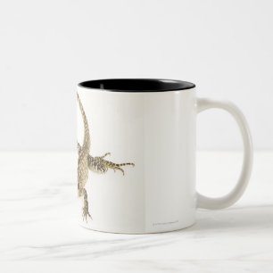 Arboreal agamid species native to Eastern 2 Two-Tone Coffee Mug