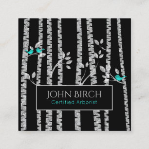 *~* Arborist Tree Doctor Birch Trees Blue Birds Square Business Card