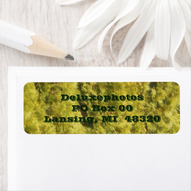 Arborvitae Evergreen Trees Return Address Label (Insitu)