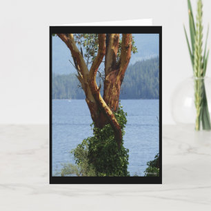 "Arbutus Tree" Greeting Card
