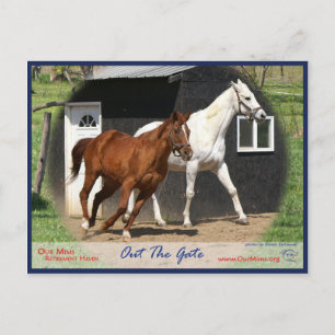 Arc Bars Miss and Bel's Starlet Postcard