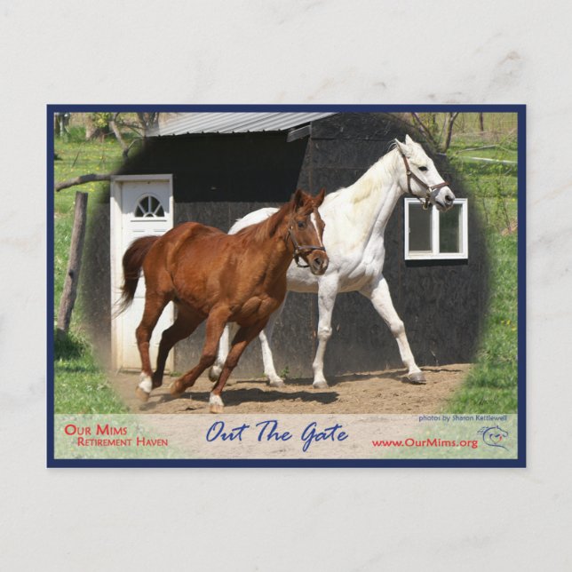 Arc Bars Miss and Bel's Starlet Postcard (Front)