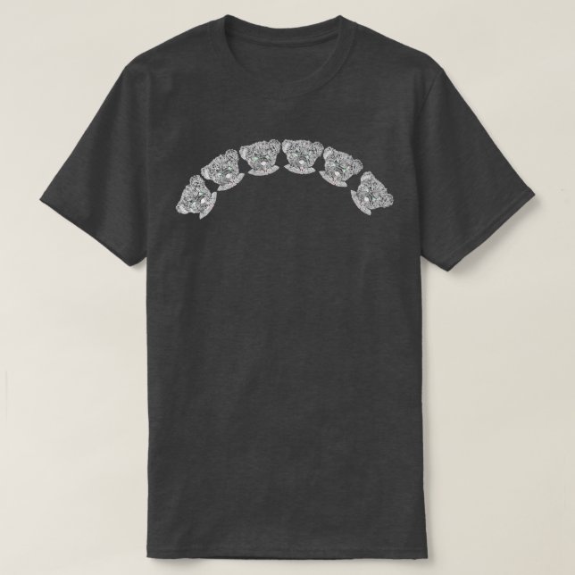 Arc of the Spooky Vampire Bear T-Shirt (Design Front)