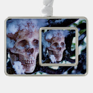 Arcane Winter I Silver Plated Framed Ornament