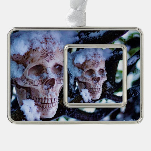 Arcane Winter I Silver Plated Framed Ornament (Front)