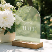 Arch Acrylic Sage Green Wedding Table Three Number