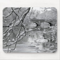 Arch Bridge over Frozen River in Winter