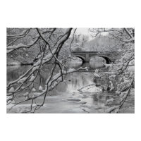 Arch Bridge over Frozen River in Winter