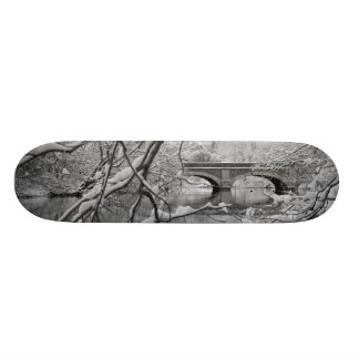 Arch Bridge over Frozen River in Winter Skateboard