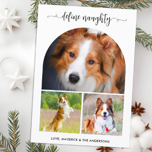 Arch Define Naughty Pet Photo Collage Christmas  Holiday Card