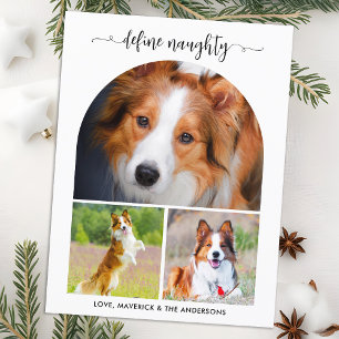 Arch Define Naughty Pet Photo Collage Christmas  Holiday Postcard