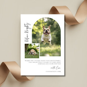 Arch Photo Define Naughty Funny Dog Christmas  Holiday Card