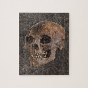 Archaeology II - Skull on Stone-effect Background Jigsaw Puzzle