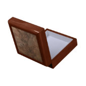 Archaeopteryx fossil - Gift box (Back Open)