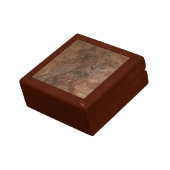 Archaeopteryx fossil - Gift box (Side)