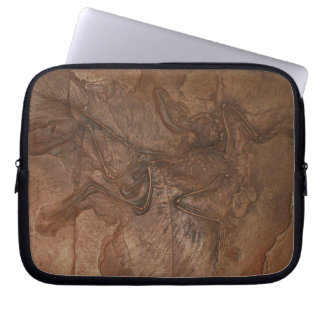 Archaeopteryx fossil - Laptop sleeve